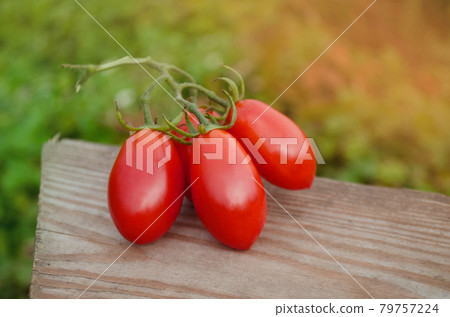 Fresh tomatoes from farm on a wooden table Fresh tomatoes from farm on a wooden table 79757224