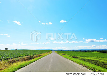 Hokkaido autumn blue sky and road 79757781