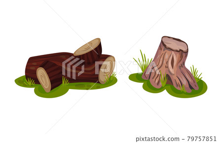 Tree Stump and Snag with Dry Branches as Coarse Woody Debris Vector Set 79757851