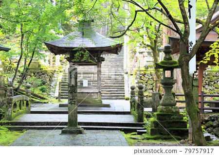 初夏谷組山華嚴寺4號入口（岐阜縣伊比郡伊比川町） 79757917