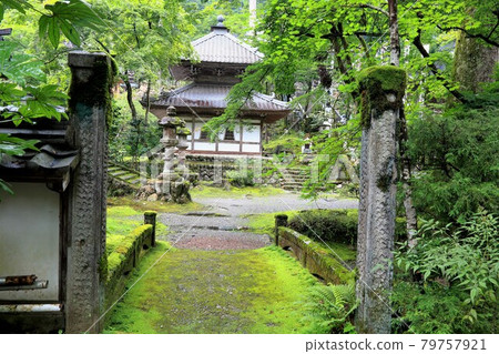 初夏谷雲山華嚴寺8號入口(岐阜縣伊比郡伊比川町) 初夏谷雲山華嚴寺8號入口(岐阜縣伊比郡伊比川町) 79757921