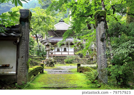 初夏谷組山華嚴寺9號入口(岐阜縣伊比郡伊比川町) 初夏谷組山華嚴寺9號入口(岐阜縣伊比郡伊比川町) 79757923