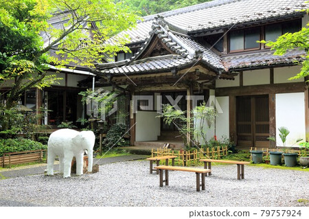 初夏谷組山華嚴寺途徑10(岐阜縣伊比郡伊比川町谷組) 初夏谷組山華嚴寺途徑10(岐阜縣伊比郡伊比川町谷組) 79757924