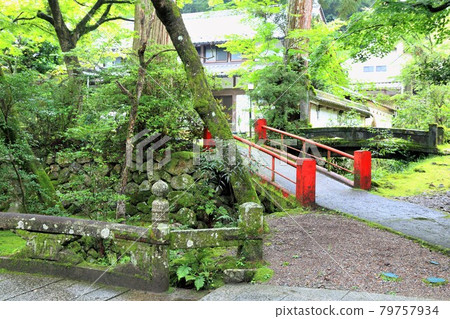 初夏谷雲山華嚴寺16條(岐阜縣伊比郡伊比川町) 初夏谷雲山華嚴寺16條(岐阜縣伊比郡伊比川町) 79757934