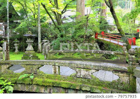 初夏谷組山華嚴寺途徑17(岐阜縣伊比郡伊比川町谷組) 初夏谷組山華嚴寺途徑17(岐阜縣伊比郡伊比川町谷組) 79757935