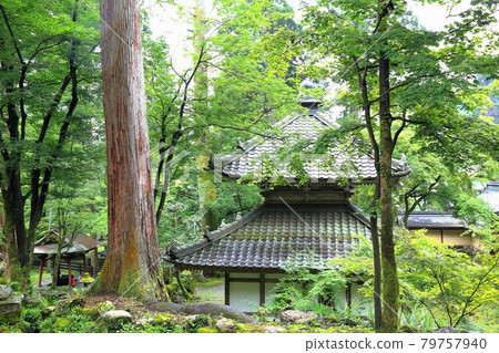 初夏谷組山華嚴寺22號(岐阜縣伊比郡伊比川町) 初夏谷組山華嚴寺22號(岐阜縣伊比郡伊比川町) 79757940