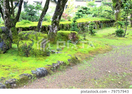 初夏谷組山華嚴寺途徑24（岐阜縣伊比郡伊比川町） 79757943