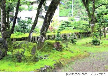 初夏谷組山華嚴寺 25 條(岐阜縣伊比郡伊比川町) 初夏谷組山華嚴寺 25 條(岐阜縣伊比郡伊比川町) 79757944