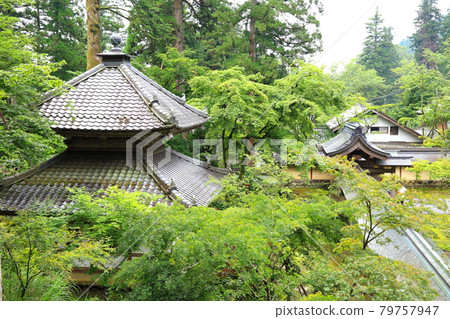 初夏谷組山華嚴寺 27 號（岐阜縣伊比郡伊比川町） 79757947