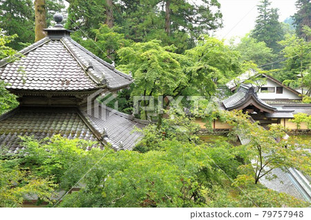 初夏谷組山華嚴寺 28（岐阜縣伊比郡伊比川町） 79757948