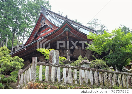 初夏谷組山華嚴寺31號入口(岐阜縣伊比郡伊比川町) 初夏谷組山華嚴寺31號入口(岐阜縣伊比郡伊比川町) 79757952