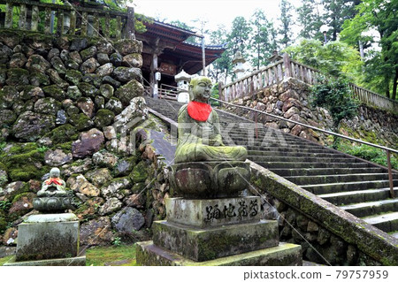 Early summer Tanigumiyama Kegonji Temple approach 38 (Ibigawa-cho, Ibi-gun, Gifu Prefecture) 79757959
