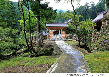 初夏谷雲山華嚴寺61路(岐阜縣伊比郡伊比川町) 初夏谷雲山華嚴寺61路(岐阜縣伊比郡伊比川町) 79757985