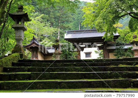 初夏谷雲山華嚴寺66路（岐阜縣伊比郡伊比川町） 79757990