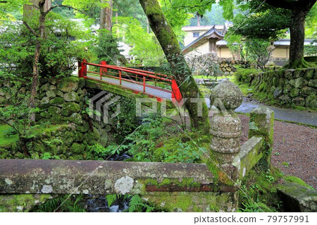 初夏谷雲山華嚴寺67路(岐阜縣伊比郡伊比川町) 初夏谷雲山華嚴寺67路(岐阜縣伊比郡伊比川町) 79757991