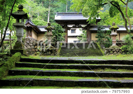 初夏谷雲山華嚴寺69路（岐阜縣伊比郡伊比川町） 79757993