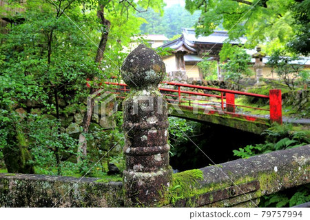 初夏谷組山華嚴寺70路(岐阜縣伊比郡伊比川町) 初夏谷組山華嚴寺70路(岐阜縣伊比郡伊比川町) 79757994