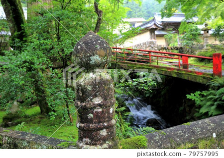 初夏谷雲山華嚴寺71路(岐阜縣伊比郡伊比川町) 初夏谷雲山華嚴寺71路(岐阜縣伊比郡伊比川町) 79757995