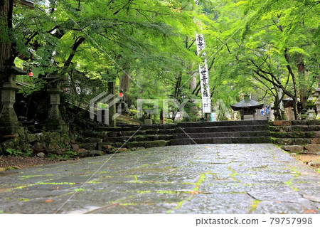 初夏谷組山華嚴寺74路(岐阜縣伊比郡伊比川町) 初夏谷組山華嚴寺74路(岐阜縣伊比郡伊比川町) 79757998