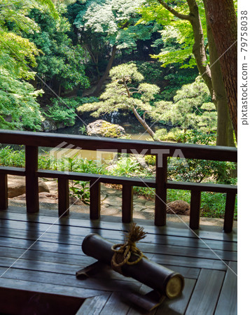 A view of the garden in early summer, a pond overlooking from Azumaya 79758038