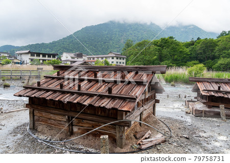 Yumoto Onsen and Hotel 79758731