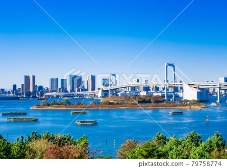 台場海灘公園和彩虹橋 79758774