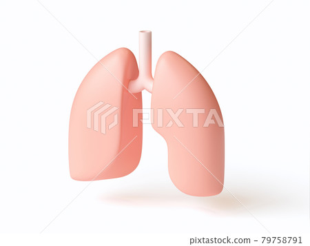 3d illustration of stylized human lungs isolated on white 79758791