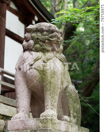 Nudehiko Nudehime Shrine guardian dog Nudehiko Nudehime Shrine guardian dog 79758975