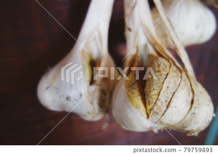 Garlic hung in a barn [countryside scenery] 79759893