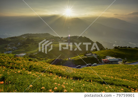 太陽從山頂落下,光芒照射金針花,雲彩照射德更嶺。 太陽從山頂落下,光芒照射金針花,雲彩照射德更嶺。 79759901