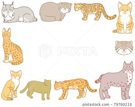 Minor feline frame sand cat illustration 79760218