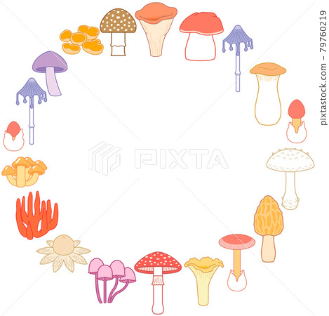 Various mushroom circle frames Amanita caesareus illustration 79760219