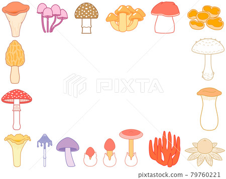 各種蘑菇,方形框架,鵝膏菌插圖 各種蘑菇,方形框架,鵝膏菌插圖 79760221