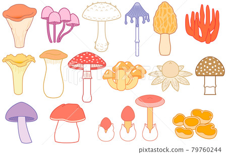 Illustrations of various mushrooms, Amanita caesareus, and King trumpet mushrooms 79760244