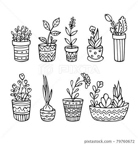 Doodle plants in pots set. Sketch style.  79760672