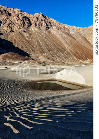 Sand dunes in Himalayas Sand dunes in Himalayas 79760832