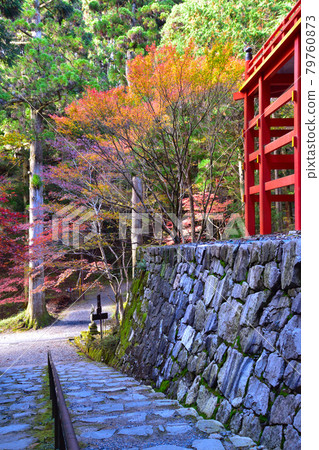 Autumn Hieizan Enryakuji Temple Yokogawa Nakado 79760873