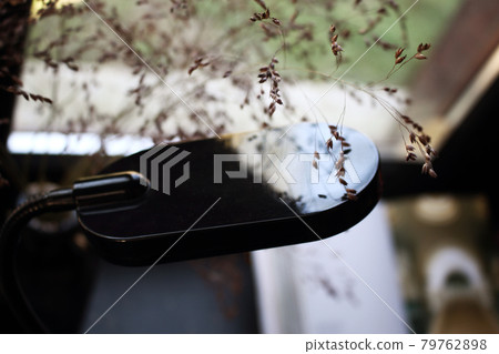 Lamp and dry grass floral decoration in front of a window romantic calm interior environment Lamp and dry grass floral decoration in front of a window romantic calm interior environment 79762898