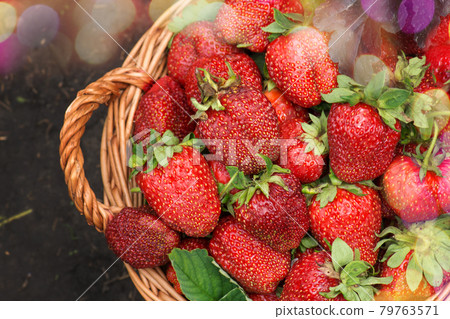 Strawberries healthy berries in sunny day. Fresh berries healthy food in basket 79763571