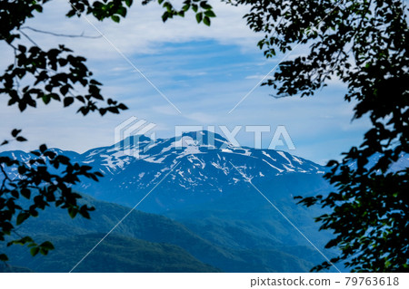透過樹木看到的白山 透過樹木看到的白山 79763618