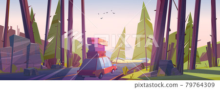 Car travel, road trip at summer vacation, journey 79764309