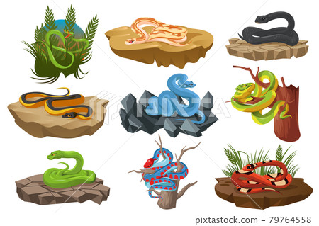 Snakes, serpents, python, black mamba Snakes, serpents, python, black mamba 79764558