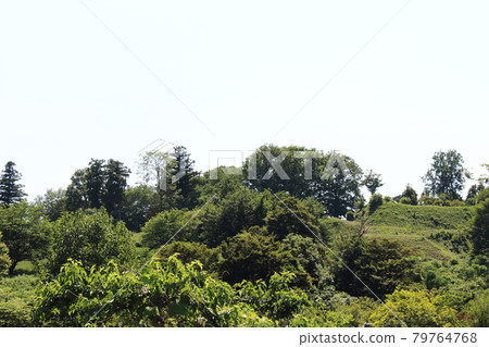 從下面看新鮮的綠色杉山城遺址 從下面看新鮮的綠色杉山城遺址 79764768