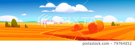 Farm landscape with hay bales on agriculture field Farm landscape with hay bales on agriculture field 79764852