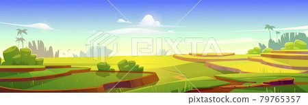 Asian rice field terraces in mountains landscape 79765357