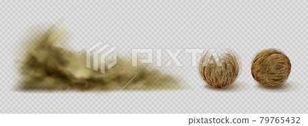 Tumbleweeds and sandstorm cloud, desert plants 79765432