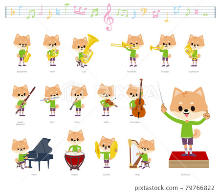 狗男孩開始古典音樂表演 79766822