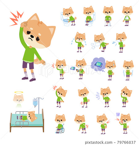 Injured or sick dog boy set 79766837