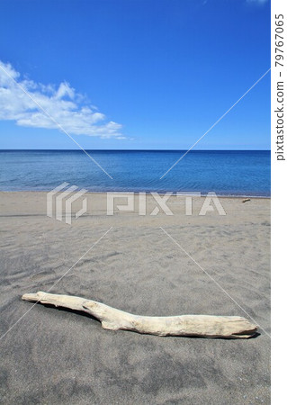 積丹海(北海道積丹鎮) 積丹海(北海道積丹鎮) 79767065