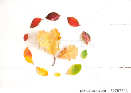 Circle of colorful autumn leaves, gradient frame for design on a white wood 79767741